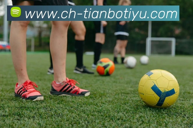 天博体育发展历程